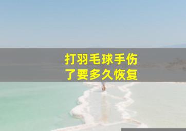 打羽毛球手伤了要多久恢复