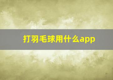 打羽毛球用什么app