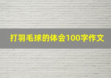 打羽毛球的体会100字作文