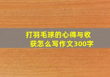 打羽毛球的心得与收获怎么写作文300字