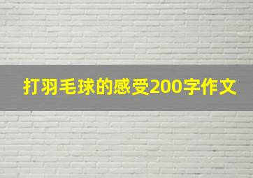 打羽毛球的感受200字作文