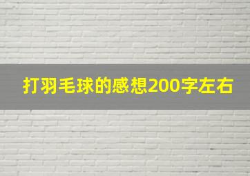 打羽毛球的感想200字左右