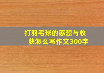 打羽毛球的感想与收获怎么写作文300字