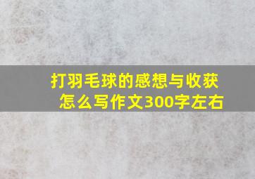 打羽毛球的感想与收获怎么写作文300字左右