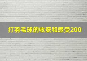 打羽毛球的收获和感受200