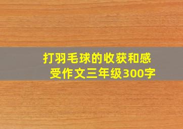 打羽毛球的收获和感受作文三年级300字