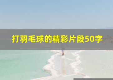 打羽毛球的精彩片段50字