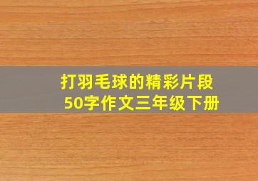 打羽毛球的精彩片段50字作文三年级下册