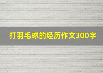 打羽毛球的经历作文300字