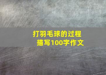 打羽毛球的过程描写100字作文