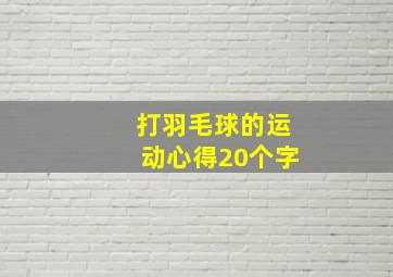 打羽毛球的运动心得20个字