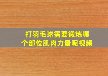 打羽毛球需要锻炼哪个部位肌肉力量呢视频