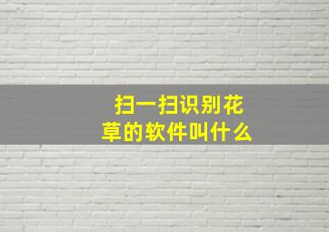 扫一扫识别花草的软件叫什么