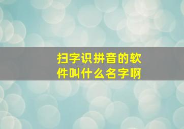 扫字识拼音的软件叫什么名字啊