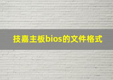 技嘉主板bios的文件格式