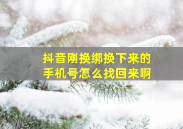 抖音刚换绑换下来的手机号怎么找回来啊