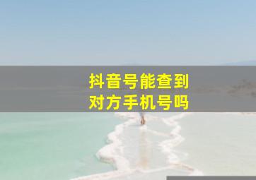 抖音号能查到对方手机号吗