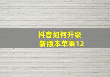 抖音如何升级新版本苹果12