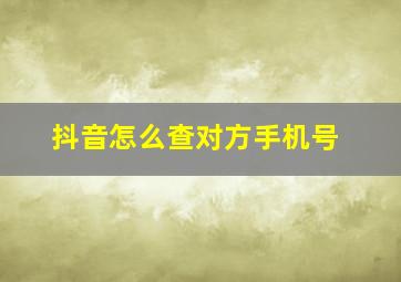 抖音怎么查对方手机号