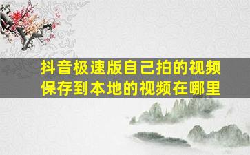 抖音极速版自己拍的视频保存到本地的视频在哪里