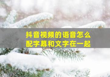 抖音视频的语音怎么配字幕和文字在一起