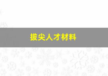 拔尖人才材料