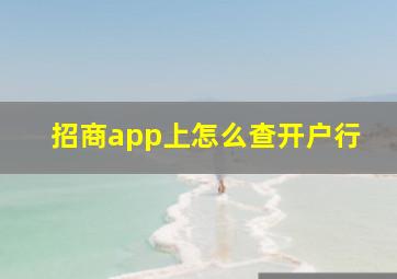 招商app上怎么查开户行