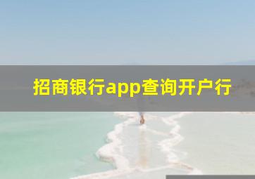 招商银行app查询开户行