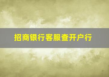 招商银行客服查开户行