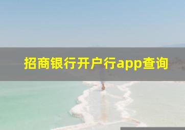 招商银行开户行app查询