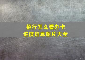 招行怎么看办卡进度信息图片大全