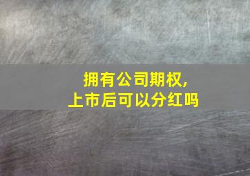 拥有公司期权,上市后可以分红吗