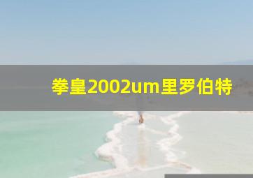 拳皇2002um里罗伯特