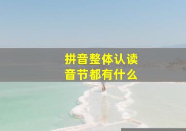 拼音整体认读音节都有什么