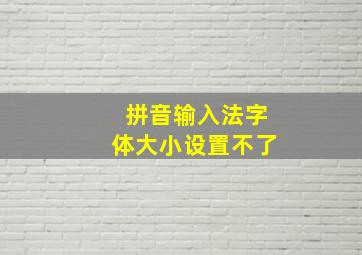 拼音输入法字体大小设置不了