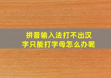 拼音输入法打不出汉字只能打字母怎么办呢