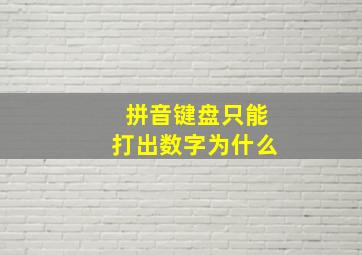 拼音键盘只能打出数字为什么