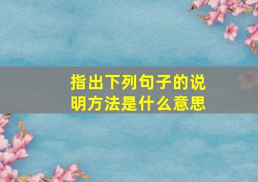 指出下列句子的说明方法是什么意思