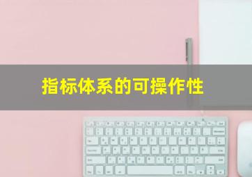 指标体系的可操作性