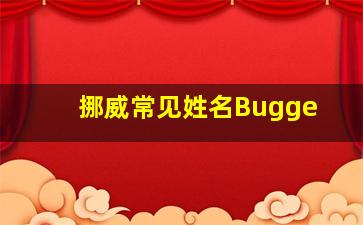 挪威常见姓名Bugge