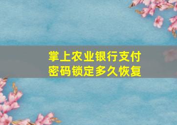 掌上农业银行支付密码锁定多久恢复