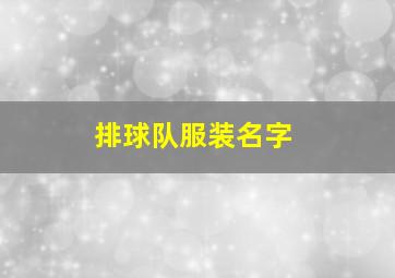 排球队服装名字