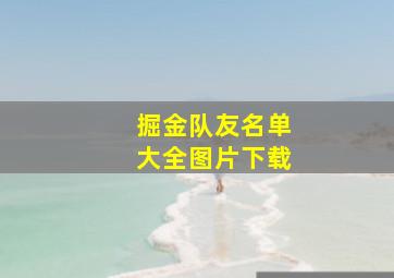 掘金队友名单大全图片下载