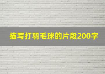 描写打羽毛球的片段200字