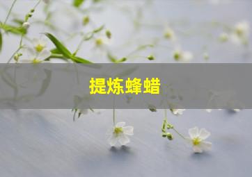 提炼蜂蜡