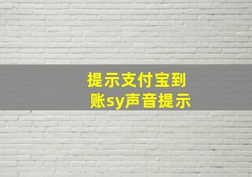 提示支付宝到账sy声音提示