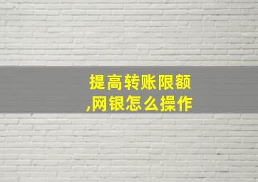 提高转账限额,网银怎么操作