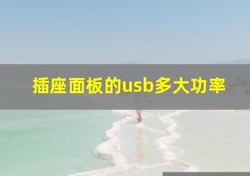 插座面板的usb多大功率