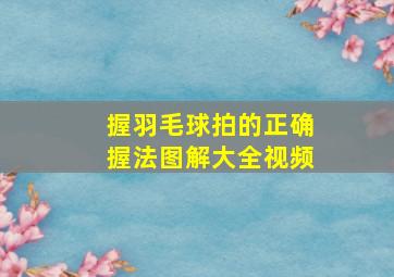 握羽毛球拍的正确握法图解大全视频