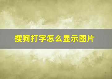 搜狗打字怎么显示图片